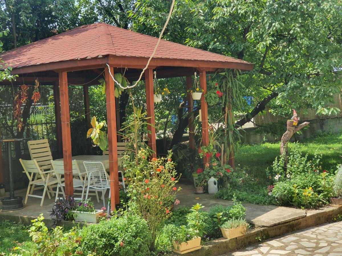 Villa Broj Jedan Delux Soko Banja Esterno foto